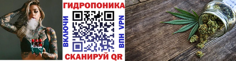 Канабис OG Kush  Вытегра 